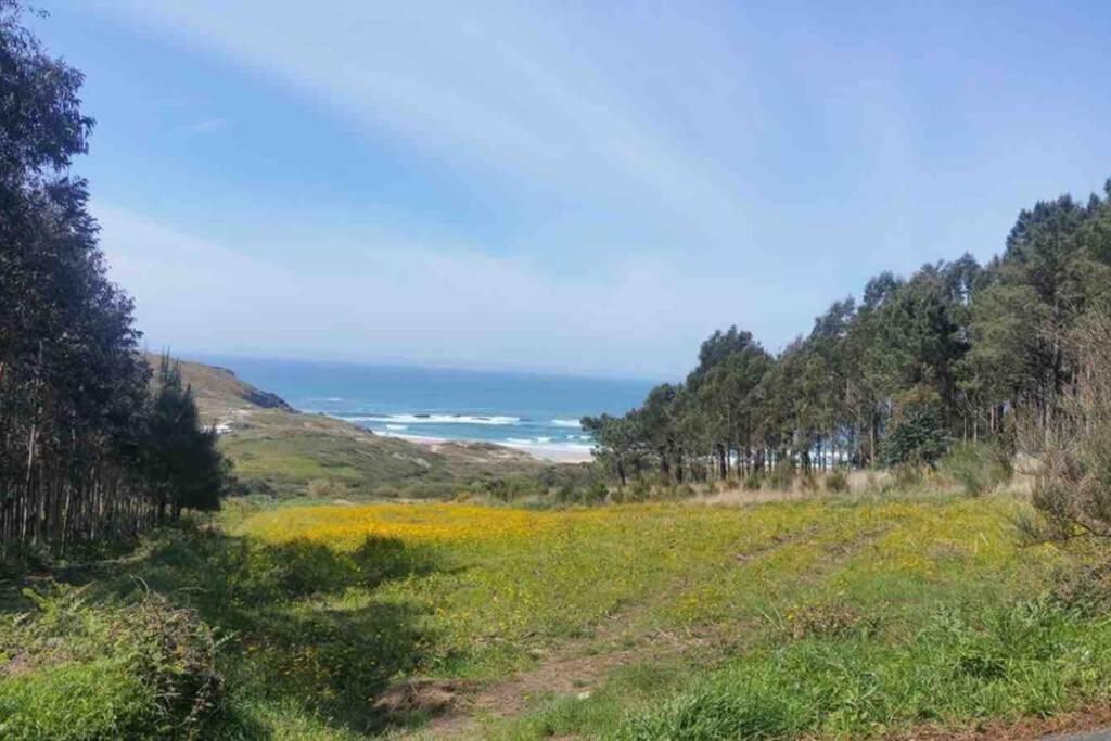 Junto Camino De Santiago,1ª Linea De Playa Apartment ฟินิสแตร์เร ภายนอก รูปภาพ